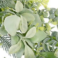 detail shot of slightly frosted soft foliage