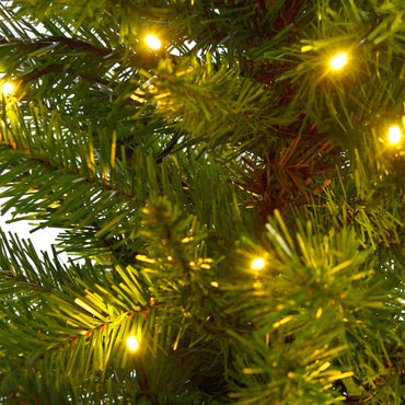 Mr Crimbo Pair 4ft Pre-Lit Pathway Trees Green Pine Mains Op - MrCrimbo.co.uk -XS0751 - -Trees